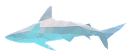 Shark silhouette